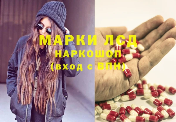прущие грибы Алексеевка
