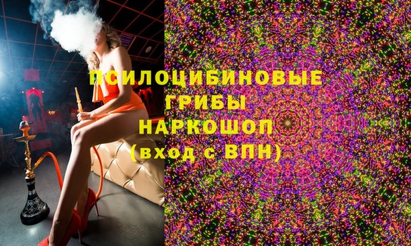 spice Алексин
