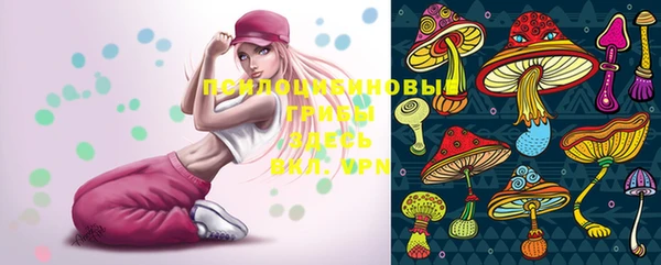 ПСИЛОЦИБИНОВЫЕ ГРИБЫ Семилуки