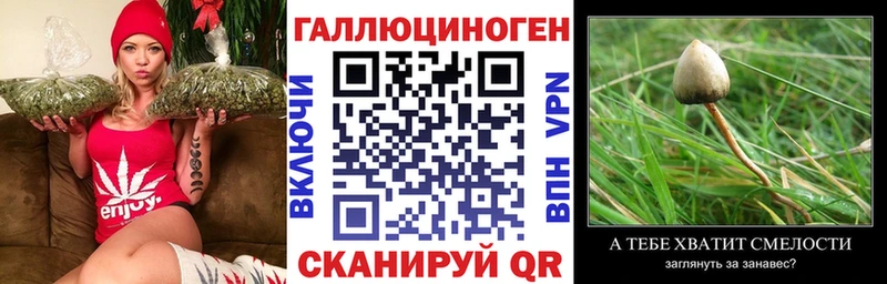 Псилоцибиновые грибы Magic Shrooms Борзя