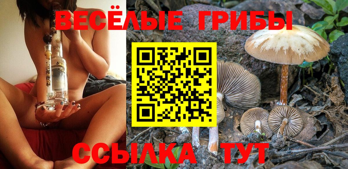Борзя  купить закладку  Вход с VPN  Псилоцибиновые грибы Psilocybe 